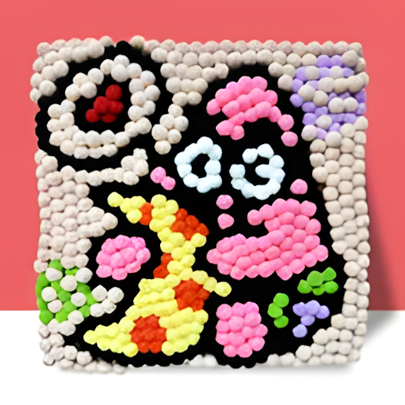 Pompom Craft